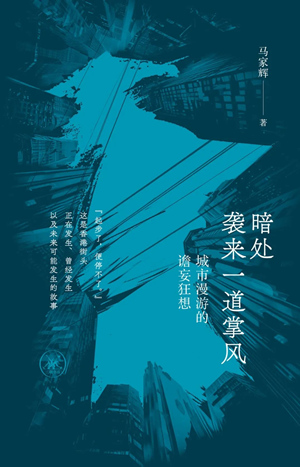 暗处袭来一道掌风